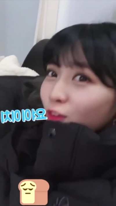 Momo sneezing