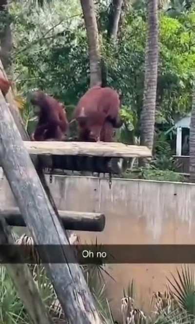 King Louie ain&rsquo;t playing