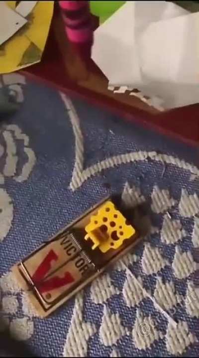 Missed the target