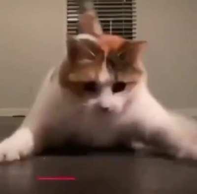 chonker boy