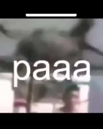 Bien ahi don crangrejo
