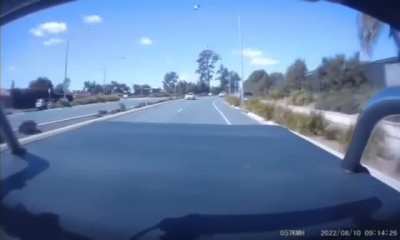 I'm reckless and a coward (wait for it) (not OC)
