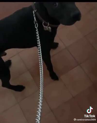 Pvto el q se mueva 😐