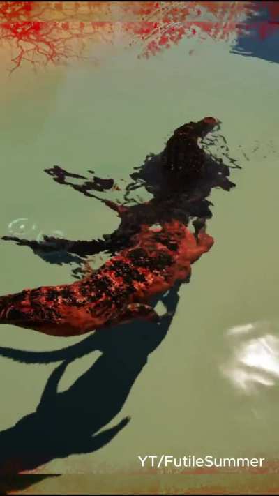 I did not expect this XD (Ft. Zombie Mutation)