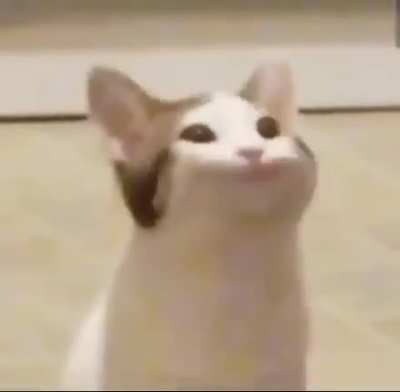 FIRST TIME A STRANGER REFERRED TO ME AS A SHE AAAAAA
