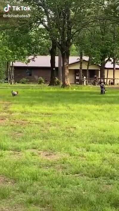 "Nope..I'm turning!"