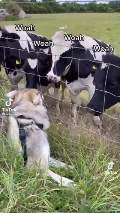 Sound on
