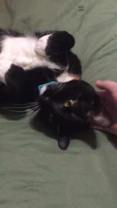 Cats be doin that tho