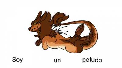 Furry_irl