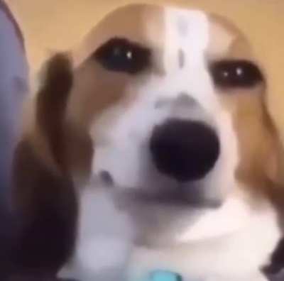 Make a title and I&rsquo;ll pick the best one