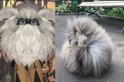 You want ze puff puff, yes?