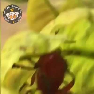 NSFW 🤭