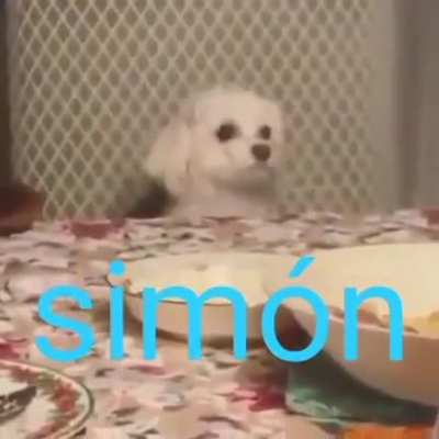Sim&oacute;n