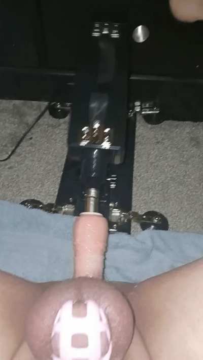 Day 8 locktober, I think I might be in heat 😋