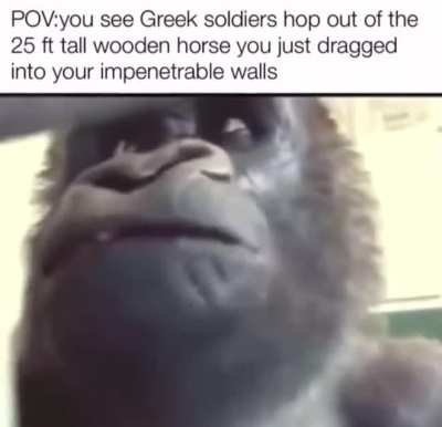 We&rsquo;ve been bamboozled