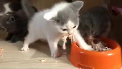 "I like to stretch while I eat"