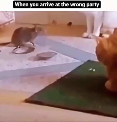 wrong house