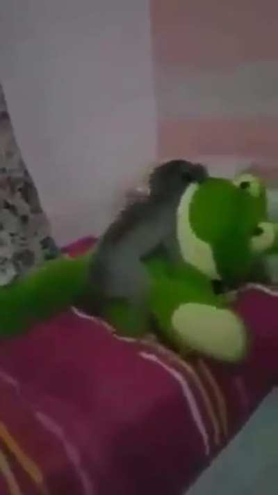 Kermit having a Smashing time 🤣