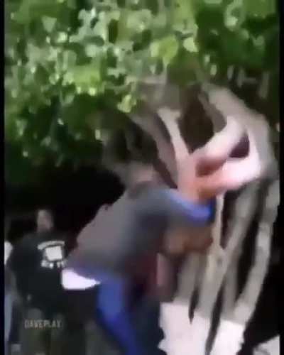 A dan&ccedil;a do acasalamento 
