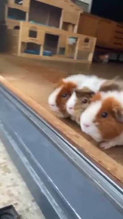 Maybe Maybe Maybe