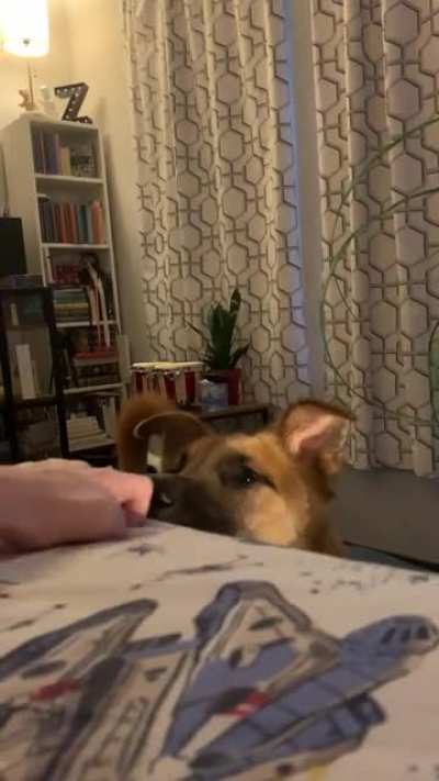 Our morning ritual