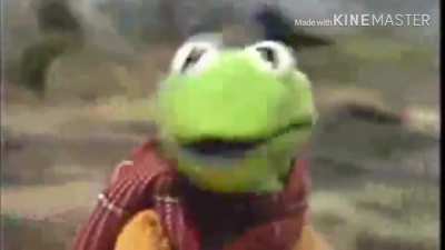 Poor Kermit