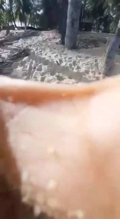 porra italo