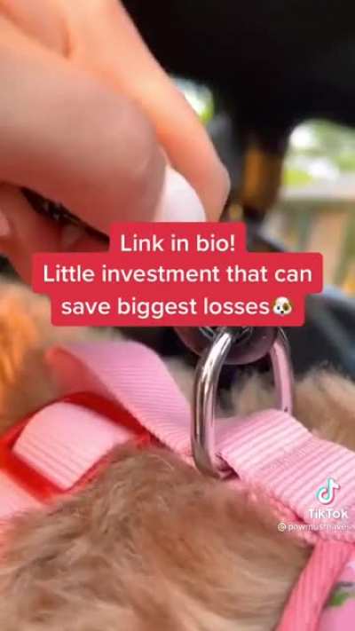 POS using someone&rsquo;s injured dog to promote there product