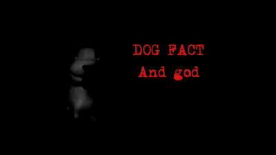 Cool dog fact’s!