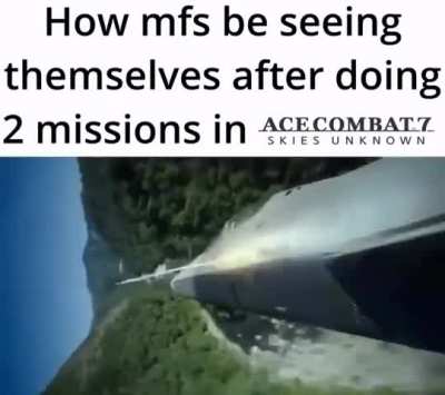Ace combat is the definition of &ldquo;it&rsquo;s not the aircraft, it&rsquo;s the pilot&rdquo;
