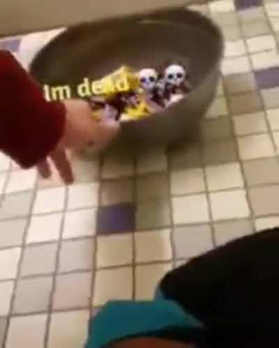 Men's rooms are lawless