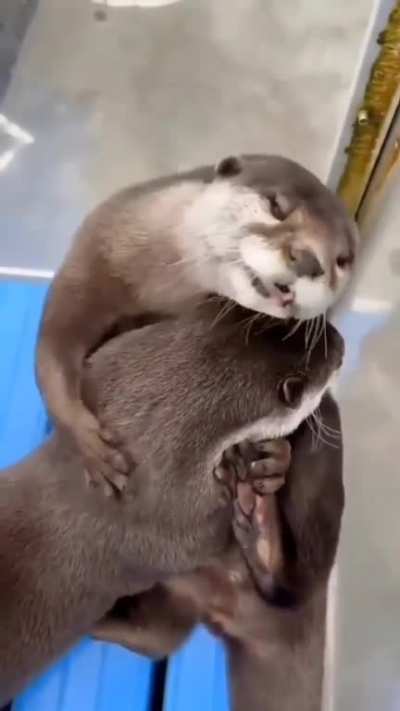 Hugz