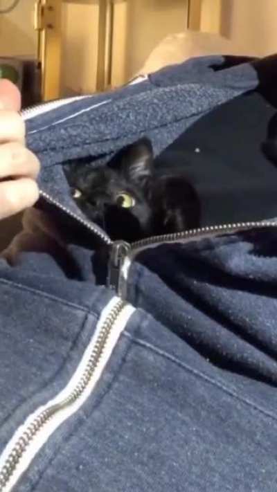 She&rsquo;s not a morning cat.