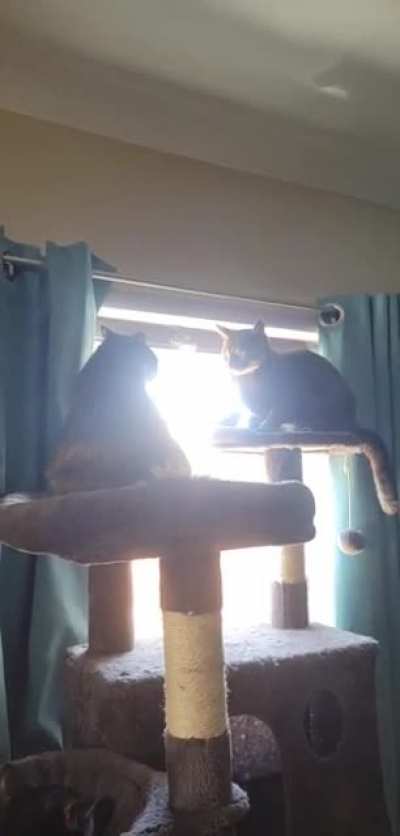 Trying to rest but the upstairs neighbors roudy