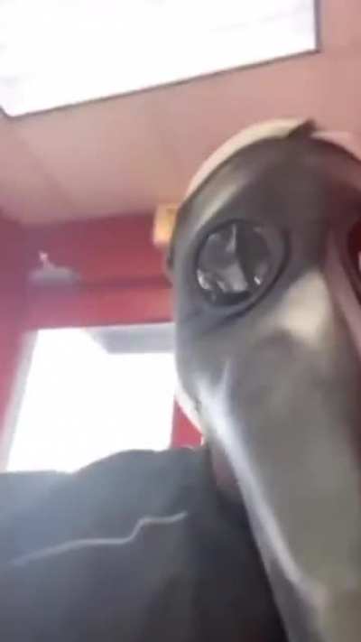 A repost of a popular post on here but the scream is actually cut