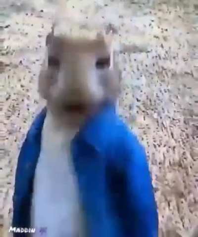 Udo, du verr&uuml;cktes Huhn! 🤣🤣🤣🤣🤣🤣 Mensch, das Video ist ja klasse! Sch&ouml;ne Vorosterzeit und denkt dran: Rutscht nicht zu weit rein! 🤪🤪🤪🤪🤪🤪🤪🤪🤣🤣🤣🤣🤣