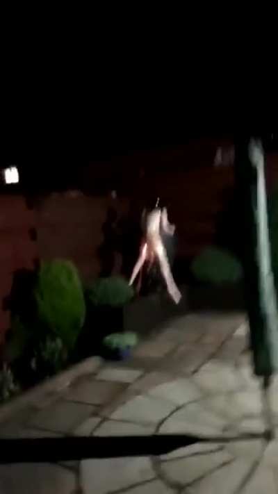 Blow up doll