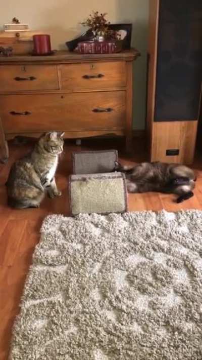 High on the nip