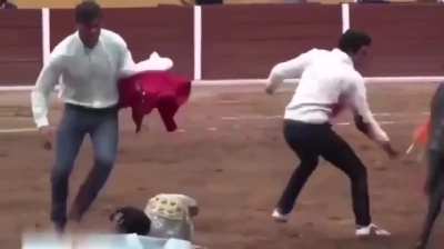 Cursed_bull