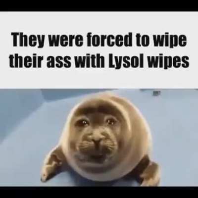 oof oof ouch my ass ahhh ahh ouchie ouchie