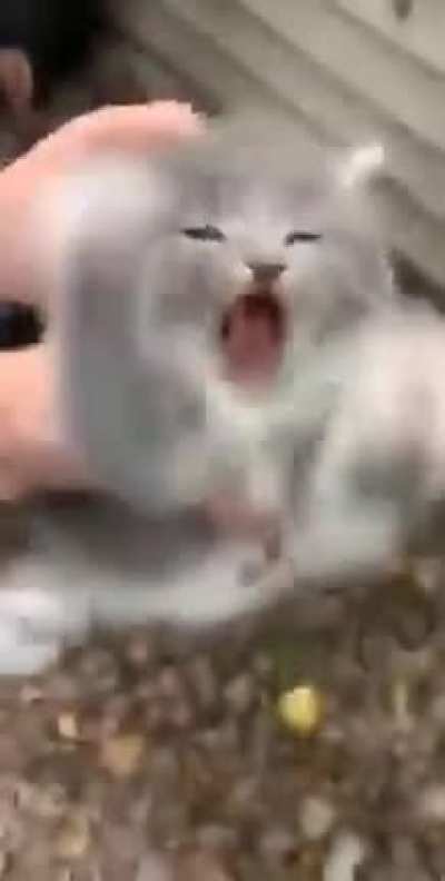 Título AAAA