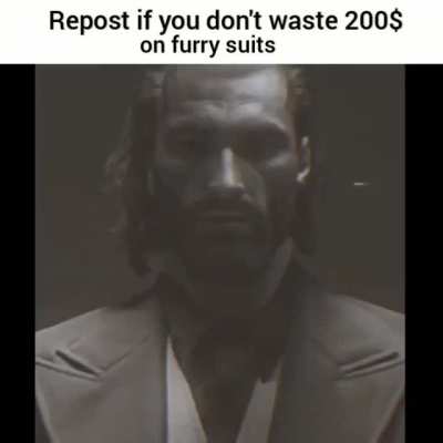 No furry