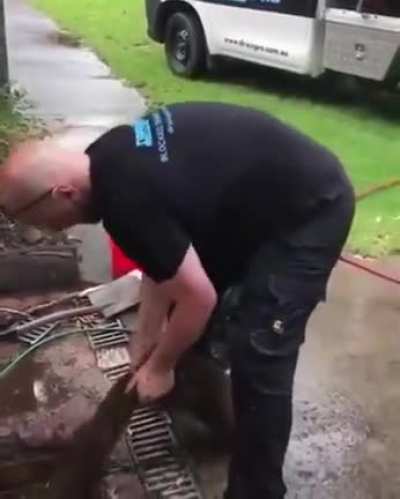 gloves? NAH