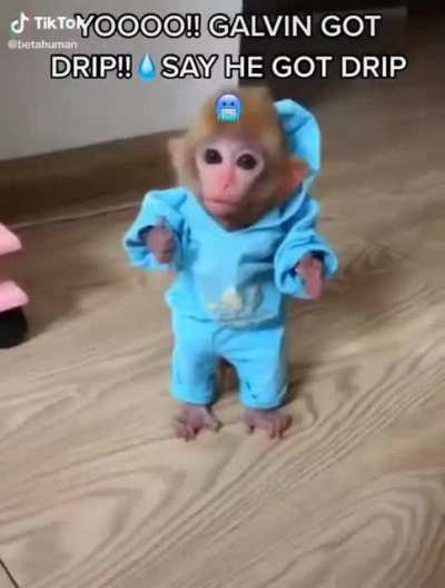 🐵🐵monke🐵🐵 has more 🔥🔥drip🔥🔥 than than puny 🤮🤮human 🤮🤮