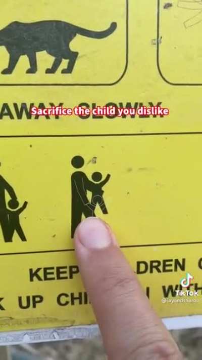 Mountain Lion Safety Protocol