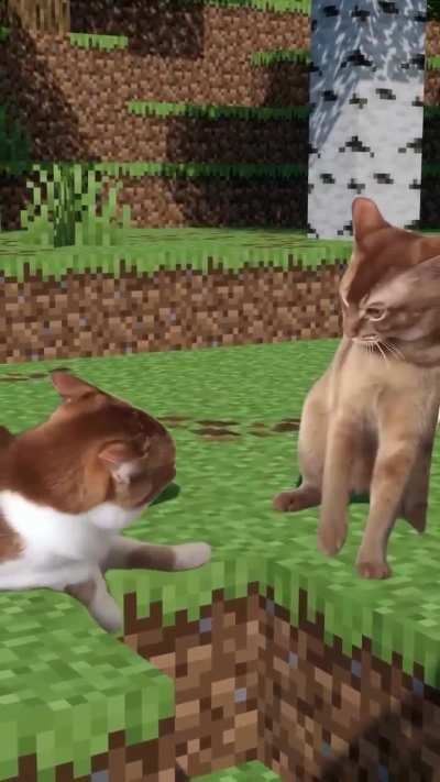 wunkcraft PvP