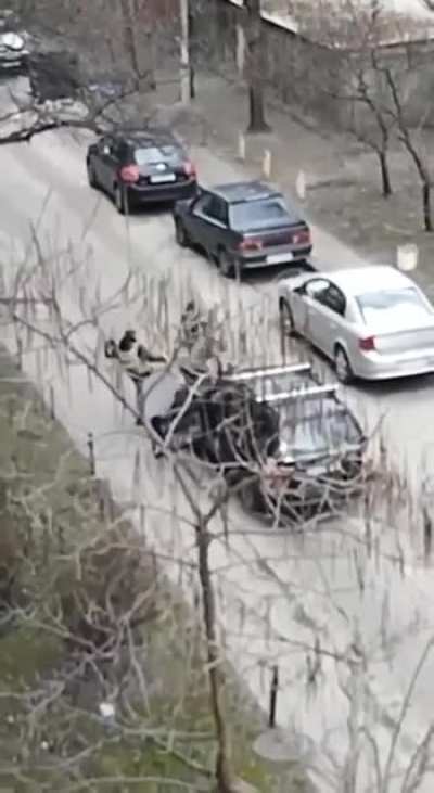 This is what happens when civilians are given weapons