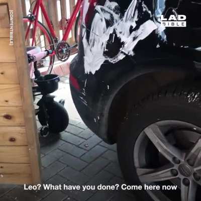 Kids will be fun they say