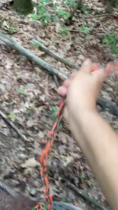 Cursed_flail