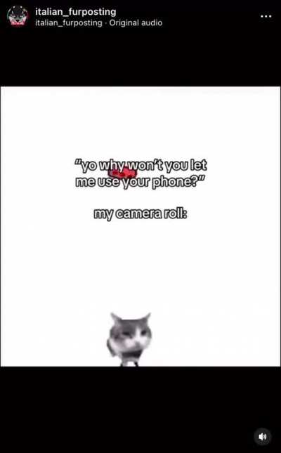Furry📵irl